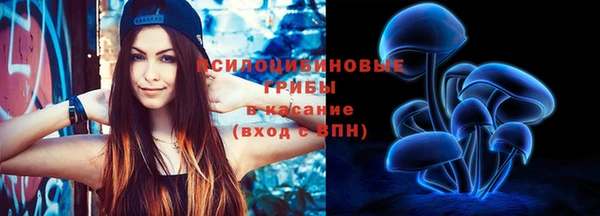 мяу мяу мука Аркадак