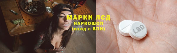 мяу мяу мука Аркадак